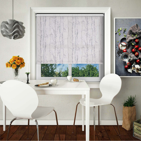 Aspen Silver Cordless Roller Blinds