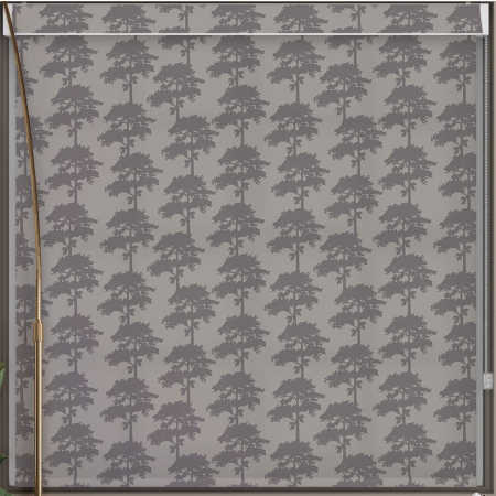 Carlin Ash Pelmet Roller Blind Cropped Image