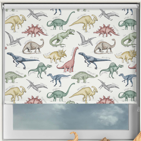 Dinopedia Roller Blinds Frame