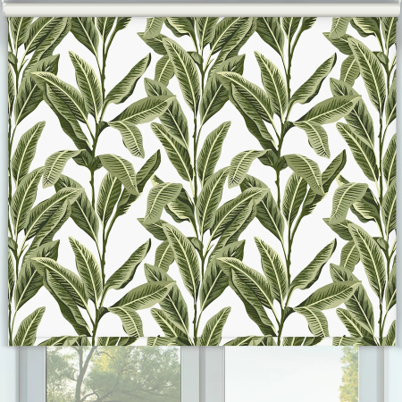 Island Palm Aloha Cordless Roller Blinds Frame