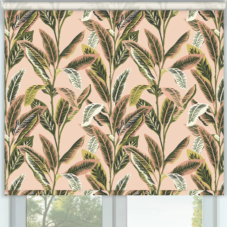 Island Palm Fiesta Cordless Roller Blinds Frame