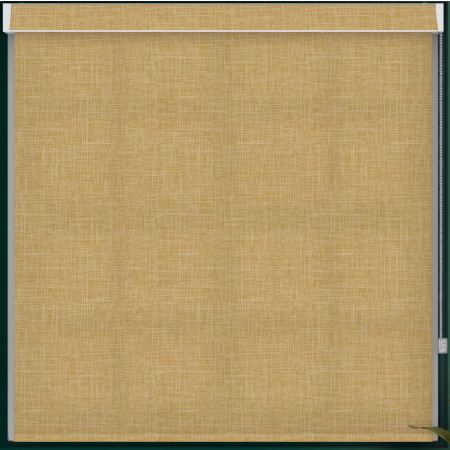 Lyra Gold Pelmet Roller Blind Cropped Image