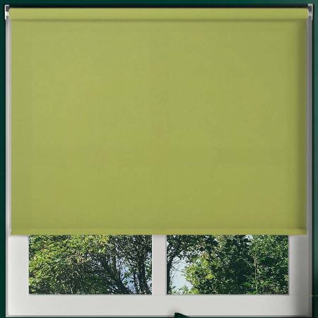 Origin Vine Green Cordless Roller Blinds Frame