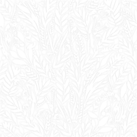 Petal White Cordless Roller Blinds Product Detail