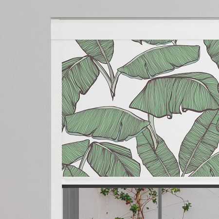 Tropical Leaf White Electric BlocOut Cassette Blinds Specs