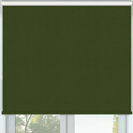 Vibe Blackout Fern Roller Blinds Frame