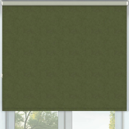 Warwick Vine Roller Blinds Frame
