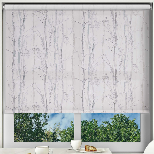 Aspen Silver Cordless Roller Blinds Frame