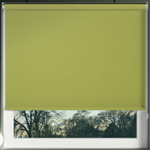 Bedtime Vine Green Roller Blinds Frame