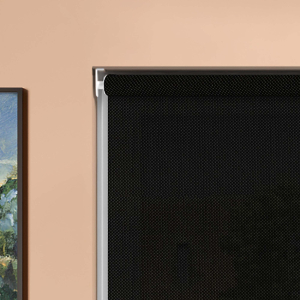 Black Sun Screen Cordless Roller Blinds Product Detail