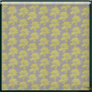 Carlin Green Cordless Roller Blind Cropped Image