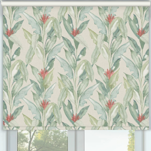 Eden Palm Green Cordless Roller Blinds Frame