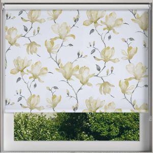 Laurel Lime Roller Blinds Frame
