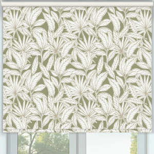 Maui Green Cordless Roller Blinds Frame