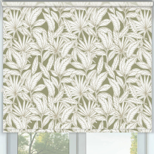 Maui Green Roller Blinds Frame