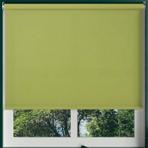 Origin Vine Green Cordless Roller Blinds Frame