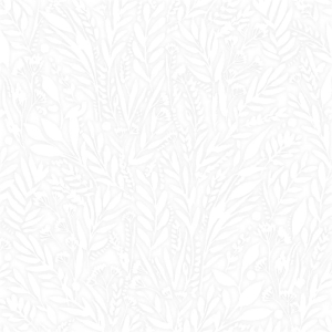 Petal White Cordless Roller Blinds Product Detail