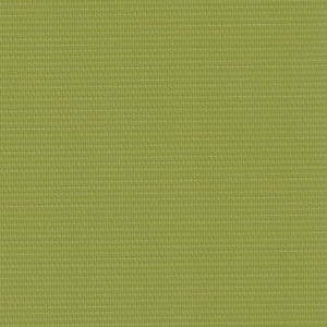 Shower Safe Lime Roller Blinds Scan