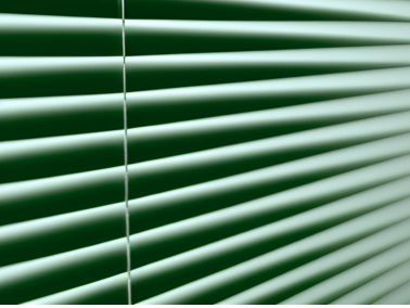 Green venetian blinds
