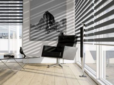 Black day and night blinds 