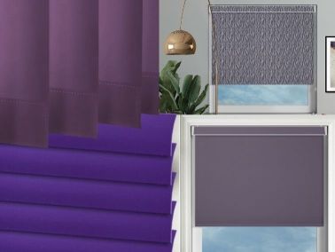 purple blinds