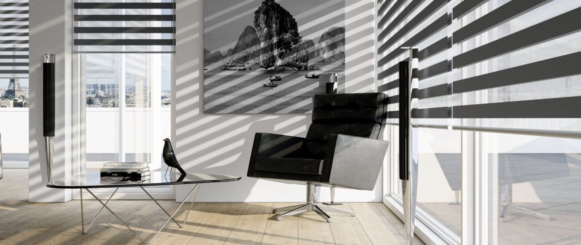 black day and night blinds