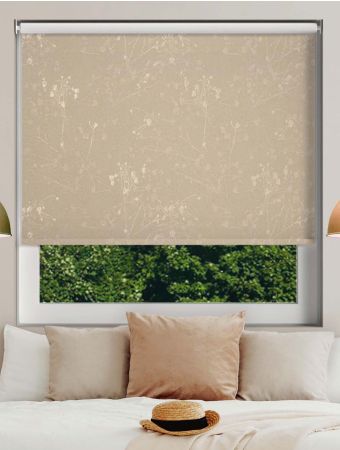 Cape Tulip Champagne