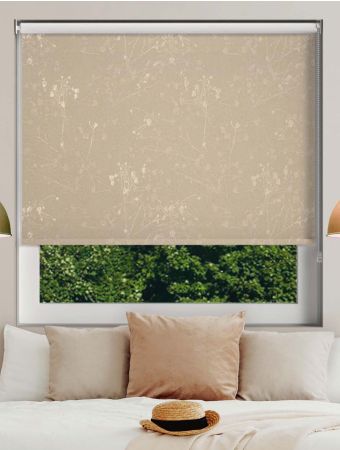 Cape Tulip Champagne