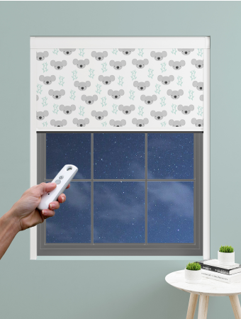 Charming Koala Electric