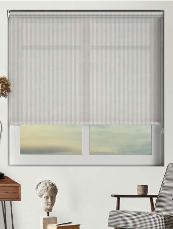 Striation Solar Snowdrop