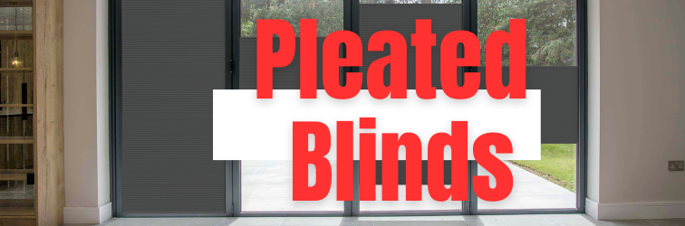 Pleated Blinds