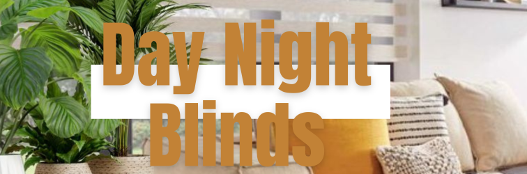 Day Night Blinds