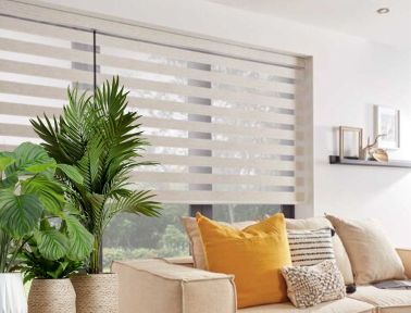 cream day night blinds 