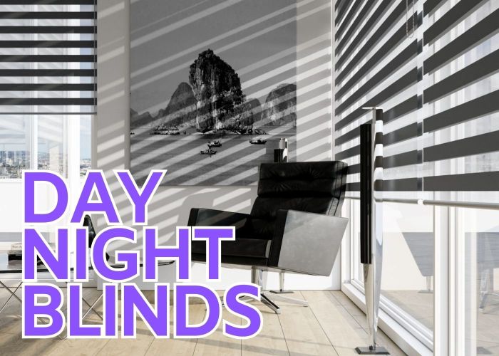 Day and night blinds