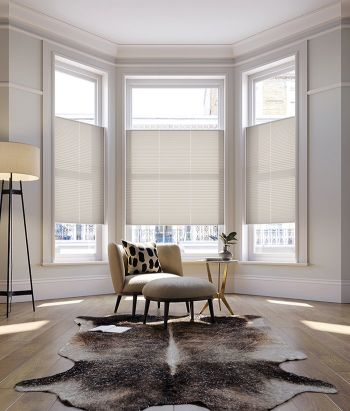 Top Down Bottom Up Pleated Blinds